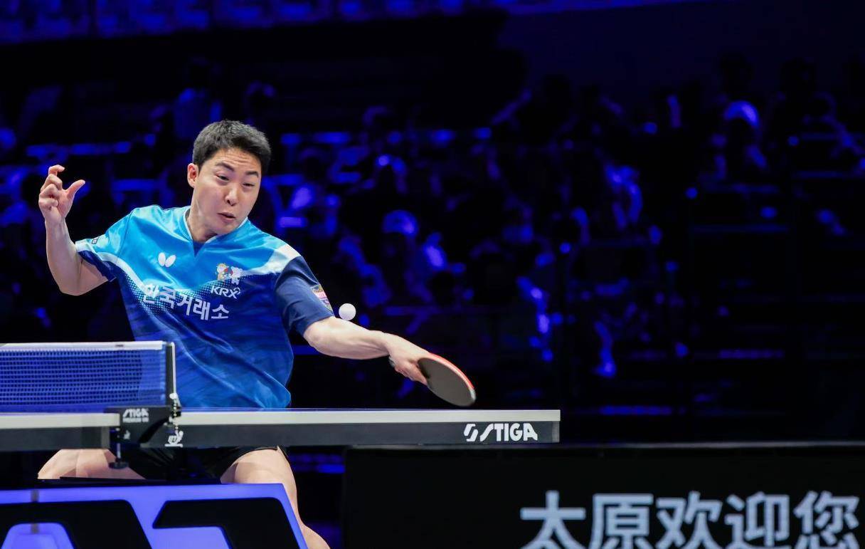 九游体育官网-锐不可当引发热议！，莎拉波娃在C9比赛中败北赛场气氛高涨(支不支持康纳和西尔莎)